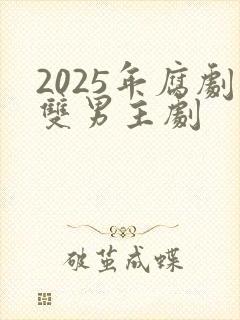 2025年腐剧双男主剧