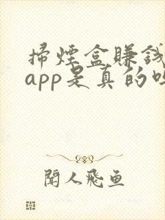 扫烟盒赚钱软件app是真的吗