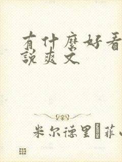 有什么好看的小说爽文