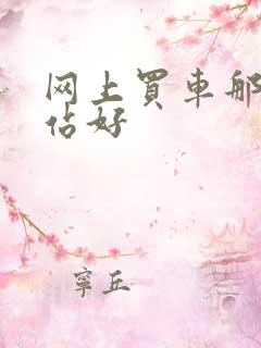 网上买车那个网站好