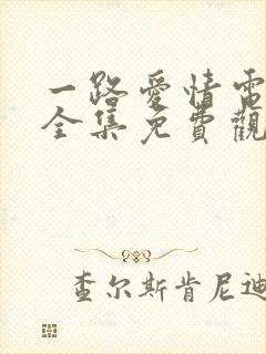 一路爱情电视剧全集免费观看高清