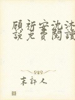 顾祈安沈沐婉小说免费阅读最新章节