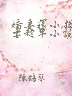 娇妻还小,总裁要趁早小说全文免费阅读