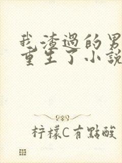 我渣过的男主都重生了小说