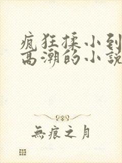 疯狂揉小到失禁高潮的小说