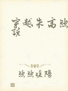 穿越朱高煦的小说