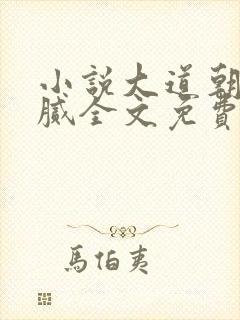 小说大道朝天猫腻全文免费看