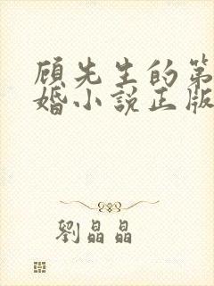 顾先生的第一宠婚小说正版