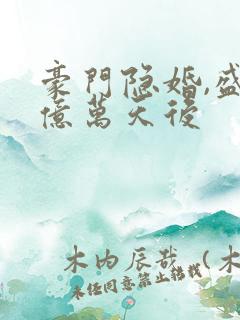 豪门隐婚,盛爱亿万天后