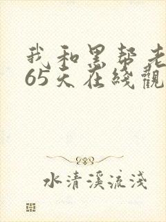 我和黑帮老大365天在线观看