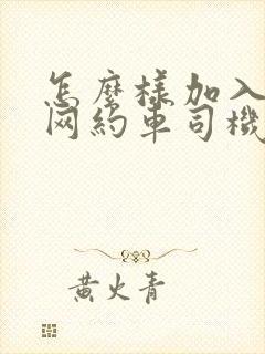 怎么样加入滴滴网约车司机