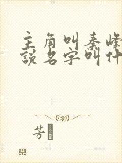 主角叫秦峰的小说名字叫什么