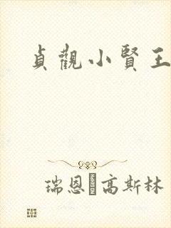 贞观小贤王李慎