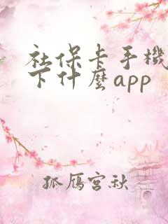 社保卡手机银行下什么app