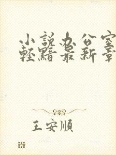 小说办公室隐婚轻黯最新章节列表免费