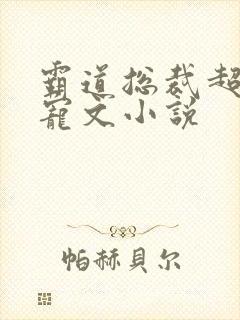 霸道总裁超甜肉宠文小说