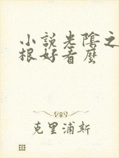 小说光阴之外耳根好看么