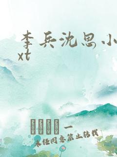 李兵沈思小说txt