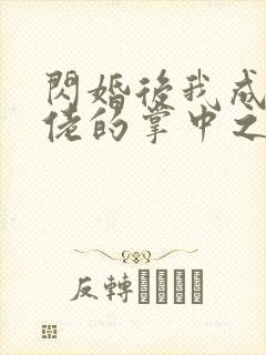 闪婚后我成了大佬的掌中之物13