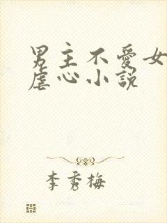 男主不爱女主的虐心小说