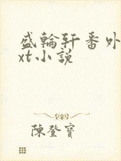 盛轮轩番外篇txt小说