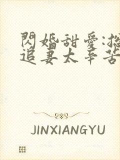 闪婚甜爱:总裁追妻太辛苦