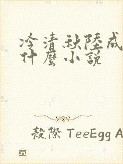 冷清秋陆成文是什么小说