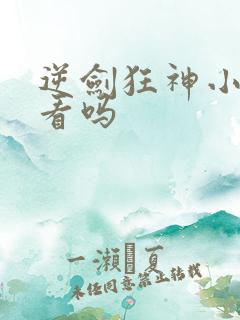 逆剑狂神小说好看吗