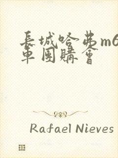 长城哈弗m6汽车团购会