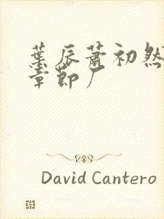 叶辰萧初然最新章节厂