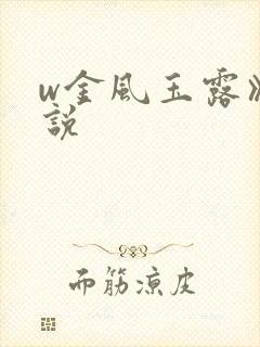 w金风玉露》小说