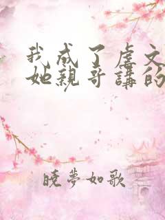 我成了虐文女主她亲哥讲的是什么