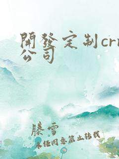 开发定制crm公司