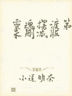 灵魂摆渡第一季未删减版