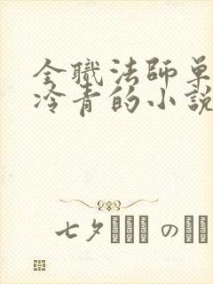 全职法师单女主冷青的小说