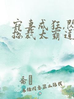 宠妻成狂,闪婚总裁太霸道