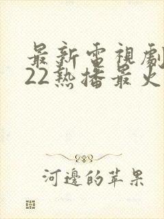 最新电视剧2022热播最火剧谍战剧