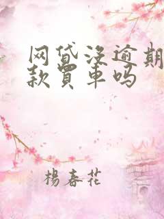 网贷没逾期能贷款买车吗