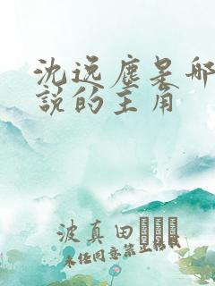 沈逸尘是哪本小说的主角