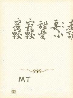 蜜宠甜妻:老公轻轻爱 小说