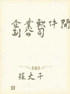 企业软件开发定制公司