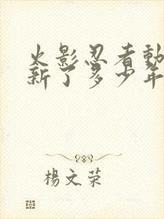 火影忍者动漫更新了多少年