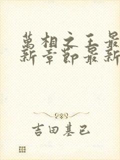 万相之王最新更新章节最新