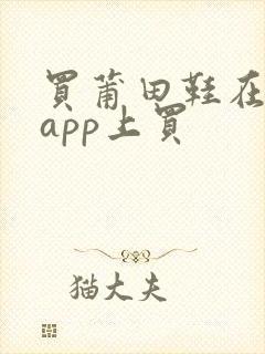 买莆田鞋在哪个app上买