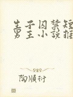 生子囚禁短篇双男主小说推荐