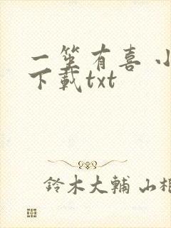 一笙有喜 小说下载txt