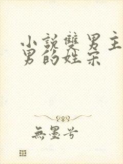 小说双男主一个男的姓宋