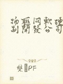 物联网软硬件定制开发公司