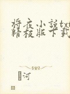 将夜小说txt精校版下载