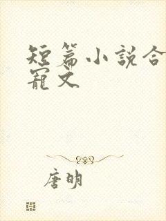 短篇小说合集甜宠文